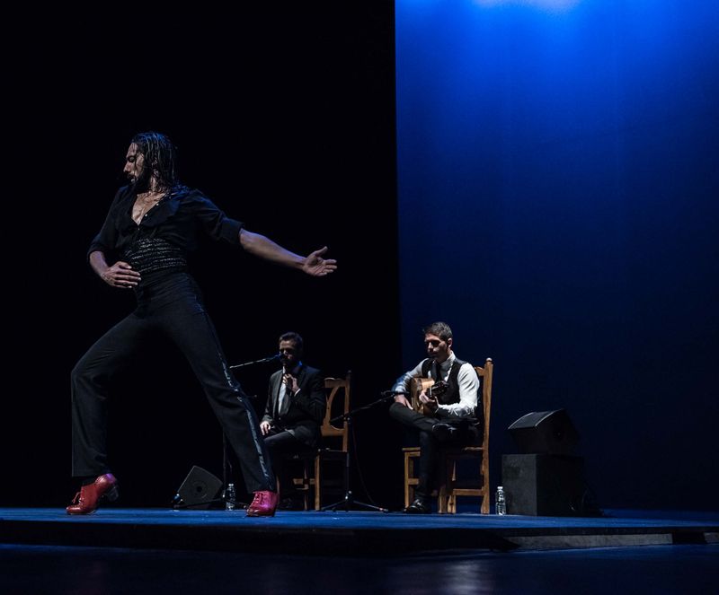 Photo 2 de Flamenco en France 